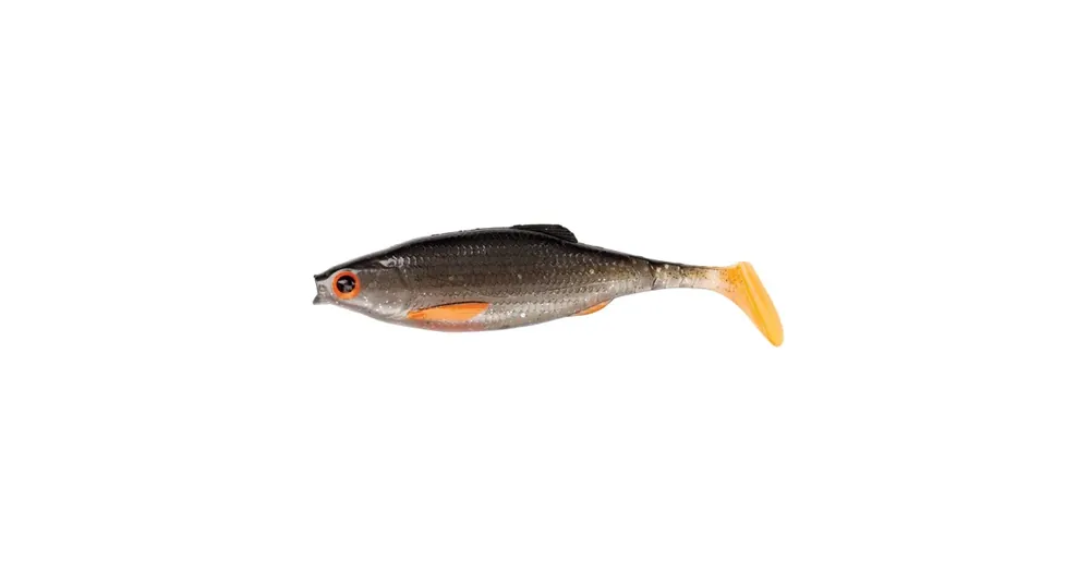Velmi oblíbený produkt | PULSE REALISTIC ROACH 7CM BLEAK