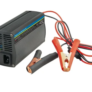 WILSTAR Nabíječka 12,8V/20A pro baterie LiFePO4 | Časově omezená nabídka