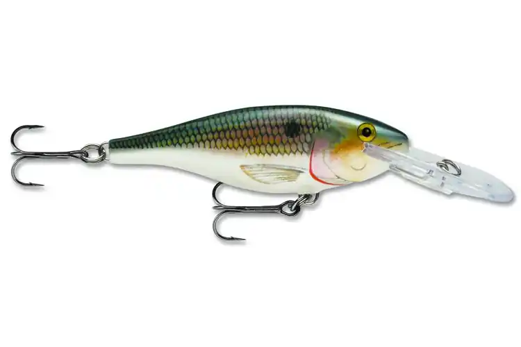 Koupit online | Rapala Shad Rap 05 SD