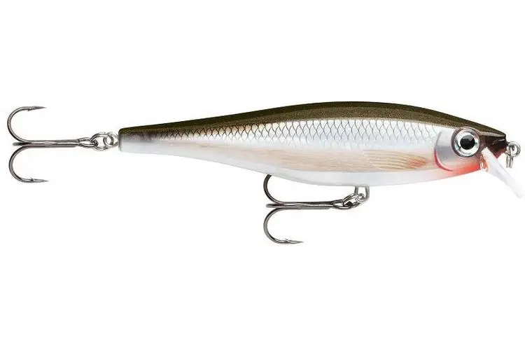 Rapala BX Minnow 10 S - Nejprodávanější