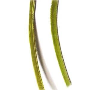 Výborné hodnocení - Veniard Husí Biots Goose Biot Strips Medium Olive